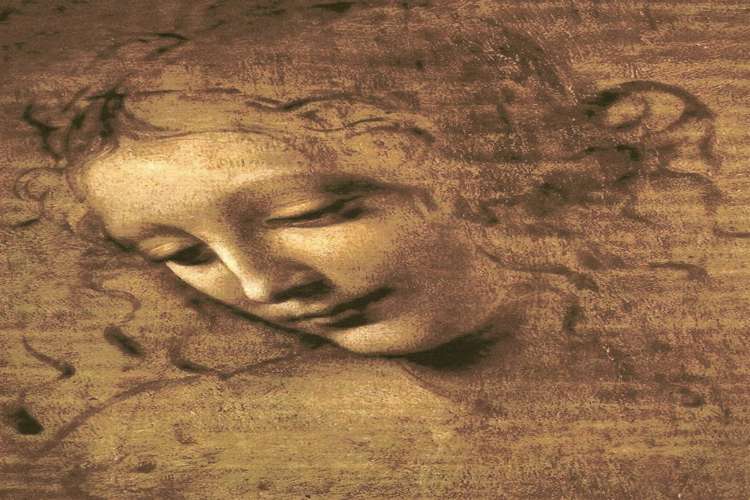 The Girl Head by Leonardo Da Vinci 1508.